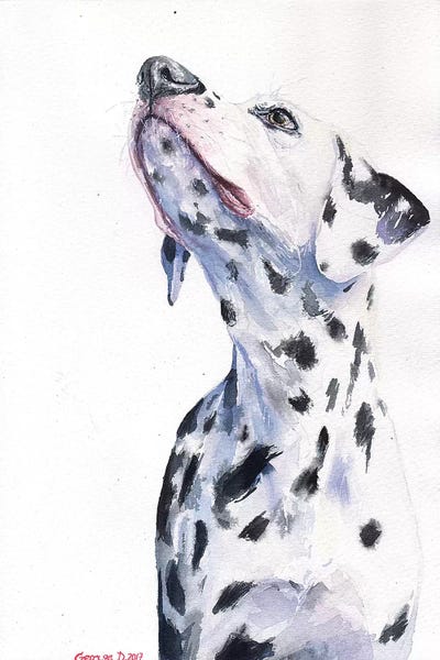 Dalmatian by George Dyachenko framed wall art