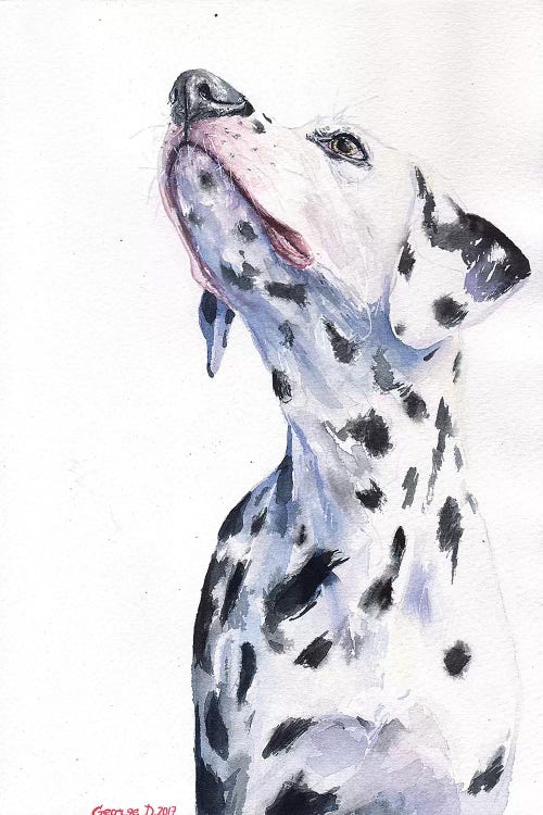 Dalmatian by George Dyachenko wall art