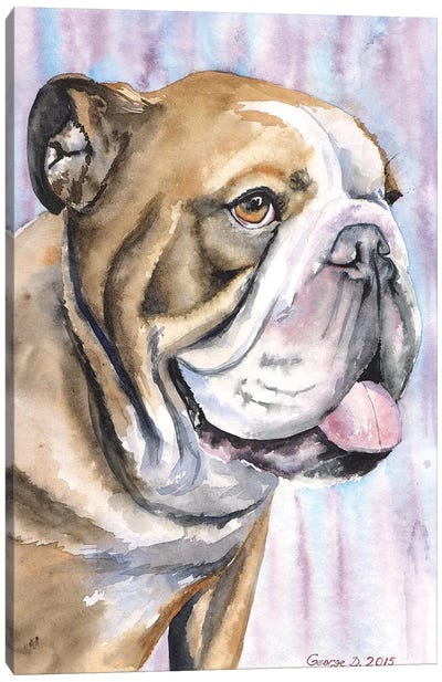 English Canvas Art Print - Bulldog Art