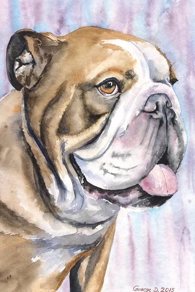 Bulldogs: English by George Dyachenko