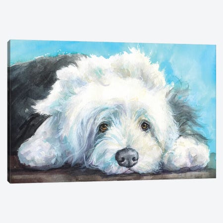English Shepherd Old Dog Canvas Print #GDY159} by George Dyachenko Canvas Artwork