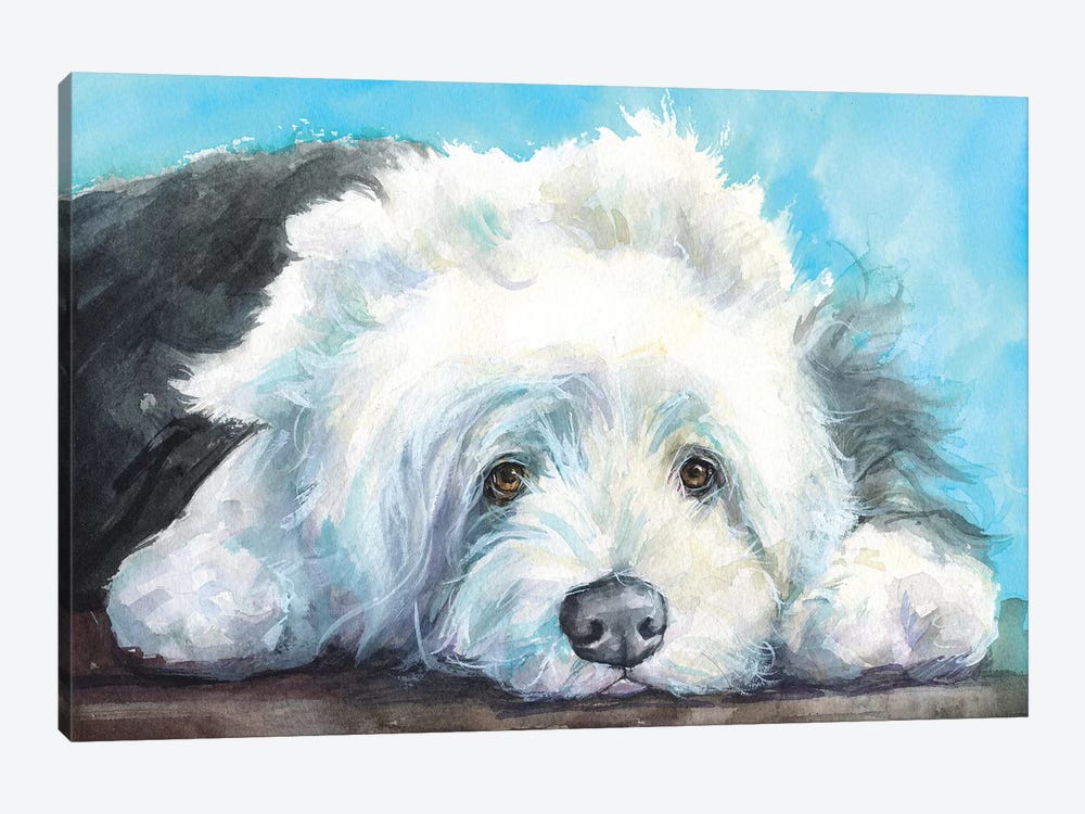 English Shepherd Old Dog by George Dyachenko 1-piece Canvas Art Print