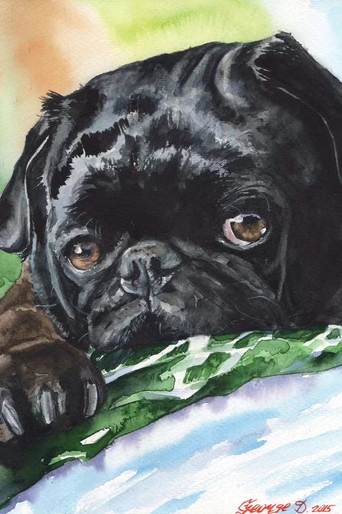 Black Pug by George Dyachenko wall art