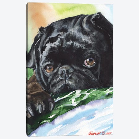 Black Pug Canvas Print #GDY15} by George Dyachenko Canvas Print