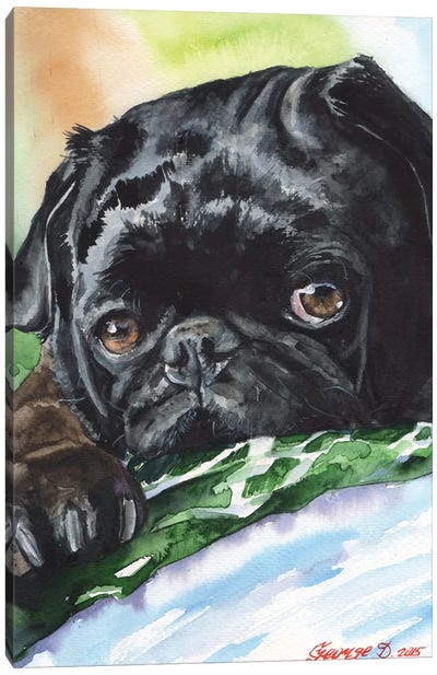 Black Pug Canvas Art Print - George Dyachenko