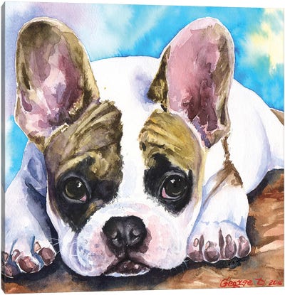 French Baby Canvas Art Print - French Bulldog Art
