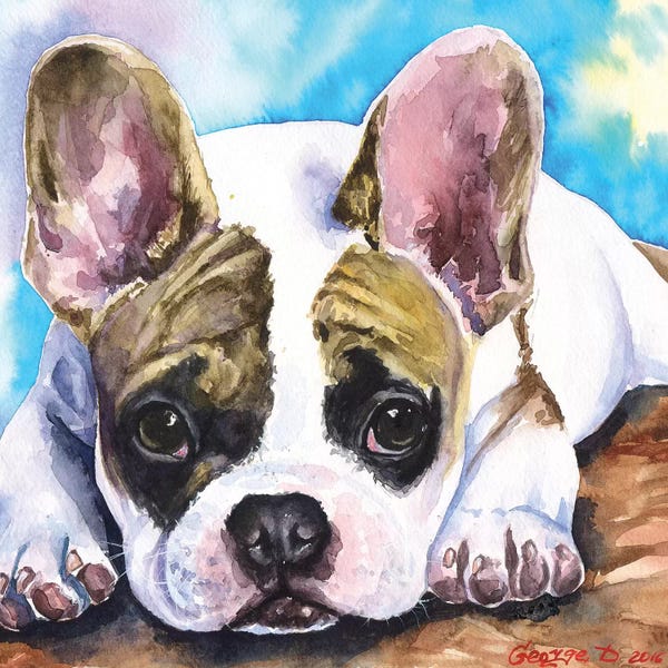 French Bulldogs: French Baby by George Dyachenko