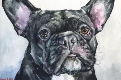 French Black by George Dyachenko acrylic art print