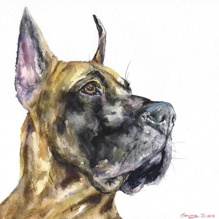 Great Dane by George Dyachenko wall art