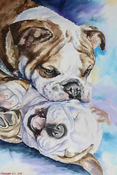 Bulldogs: Happiness by George Dyachenko