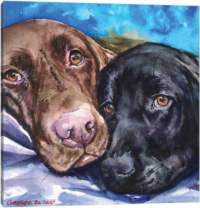 Labs Canvas Art Print - Best Selling Dog Art