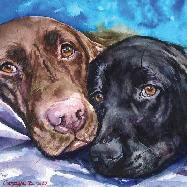 Pet Obsessed: Labs by George Dyachenko