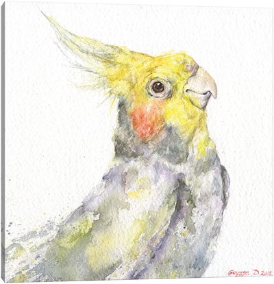 Parrot Canvas Art Print - George Dyachenko