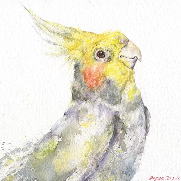 Parrots: Parrot by George Dyachenko