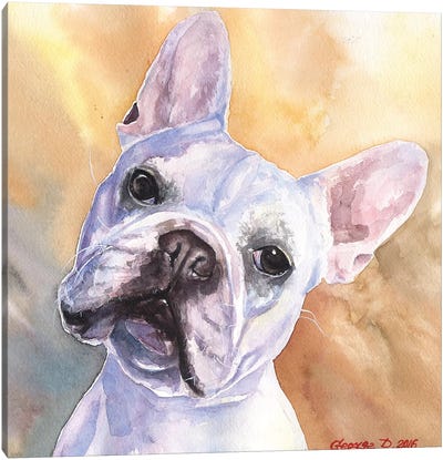 White Canvas Art Print - French Bulldog Art