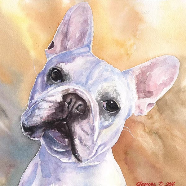 French Bulldogs: White by George Dyachenko