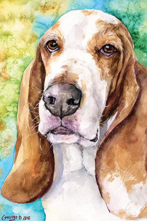 Basset Hound I by George Dyachenko wall art