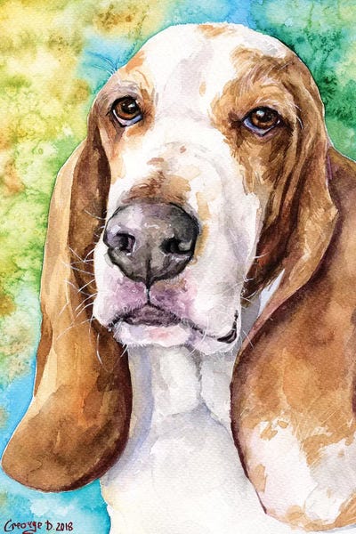 Basset Hounds: Basset Hound I by George Dyachenko