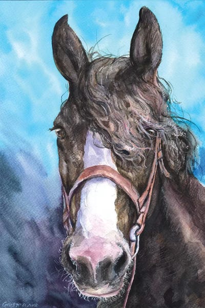 Horse by George Dyachenko canvas print