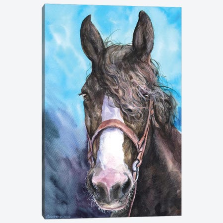 Horse Canvas Print #GDY180} by George Dyachenko Canvas Art Print