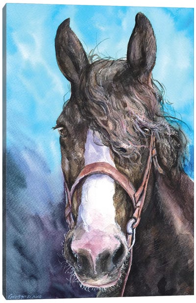 Horse Canvas Art Print - George Dyachenko