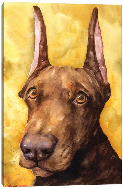 Brown Doberman Canvas Art Print - Mellow Yellow