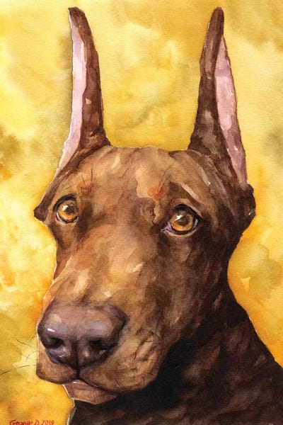 Doberman Pinschers: Brown Doberman by George Dyachenko