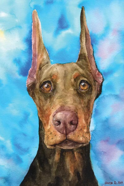 Doberman Pinschers: Chocolate Doberman by George Dyachenko
