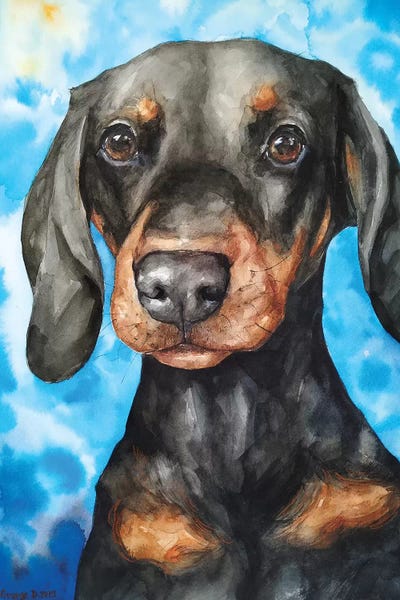 Cute Dachshund by George Dyachenko framed wall art