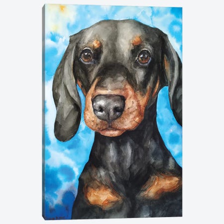Watercolor Long-Haired Dachshund Canvas - Jennifer Canvas | Seeley Art