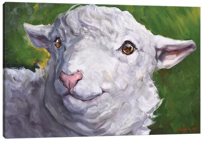 Cute Sheep Canvas Art Print - George Dyachenko