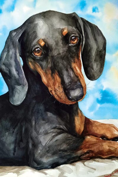 Dachshunds: Dachshund by George Dyachenko