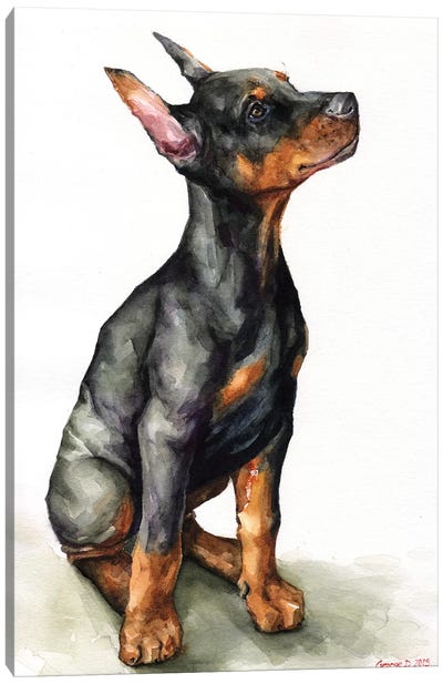 Doberman Puppy Canvas Art Print