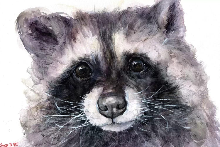 Raccoon by George Dyachenko wall art