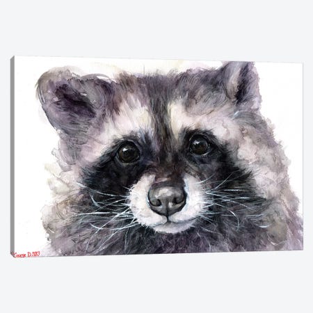 Raccoon Canvas Print #GDY190} by George Dyachenko Canvas Wall Art