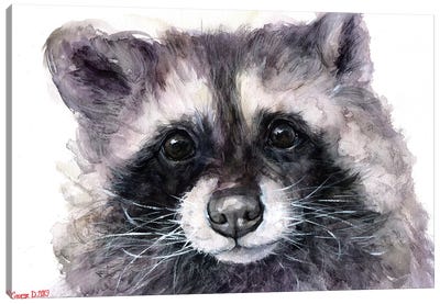 Raccoon Canvas Art Print - George Dyachenko