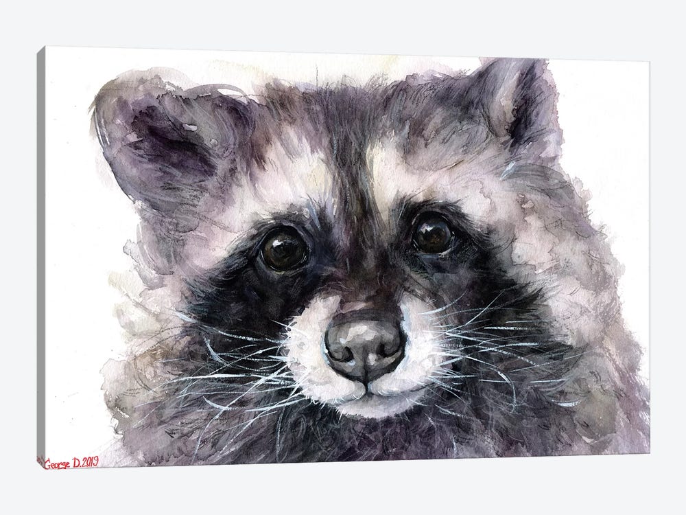 Raccoon by George Dyachenko 1-piece Canvas Art