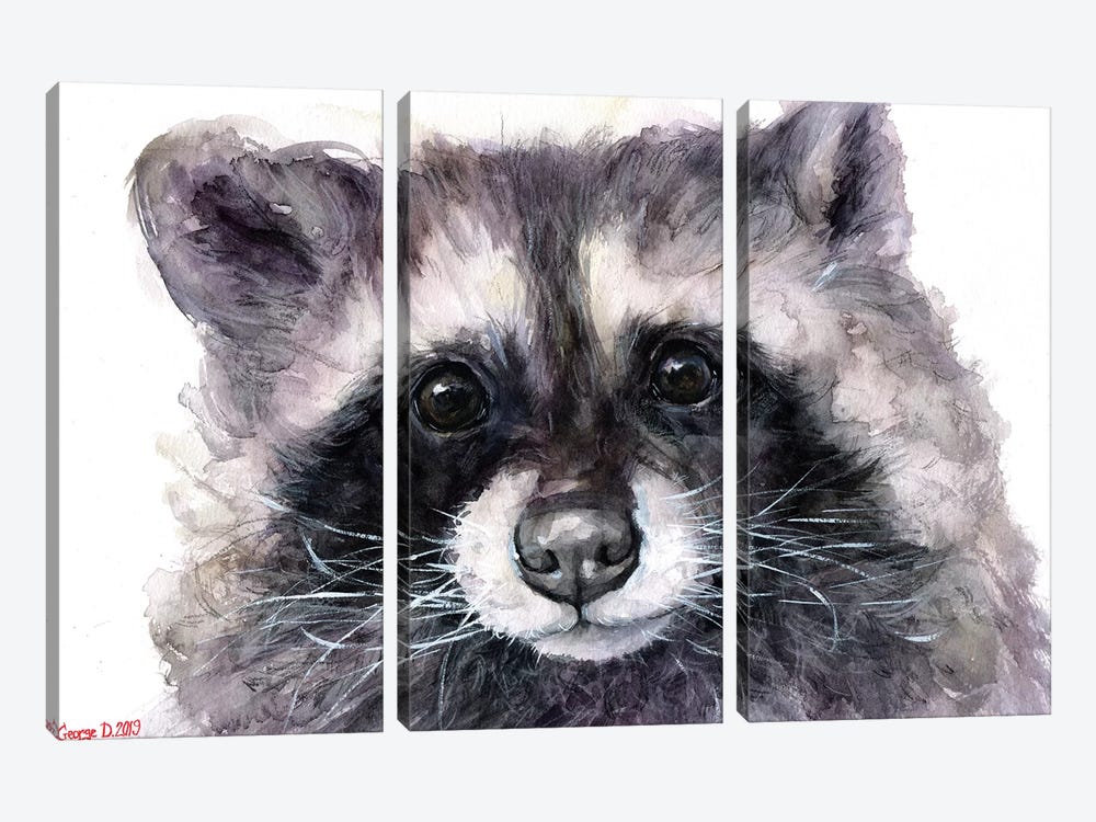 Raccoon by George Dyachenko 3-piece Canvas Artwork