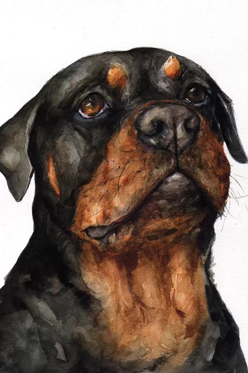 Rottweiler by George Dyachenko wall art