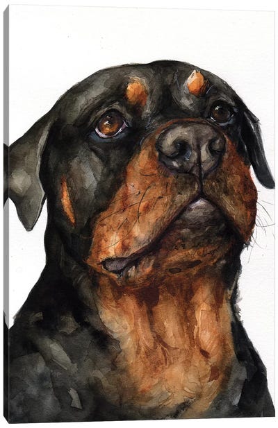 Rottweiler Canvas Art Print