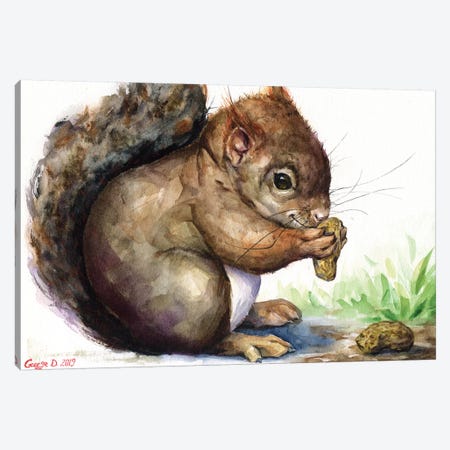 Squirrel Canvas Print #GDY192} by George Dyachenko Canvas Wall Art
