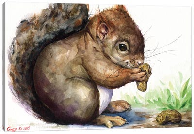 Squirrel Canvas Art Print - Tan Art