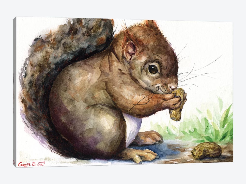 Squirrel by George Dyachenko 1-piece Canvas Wall Art