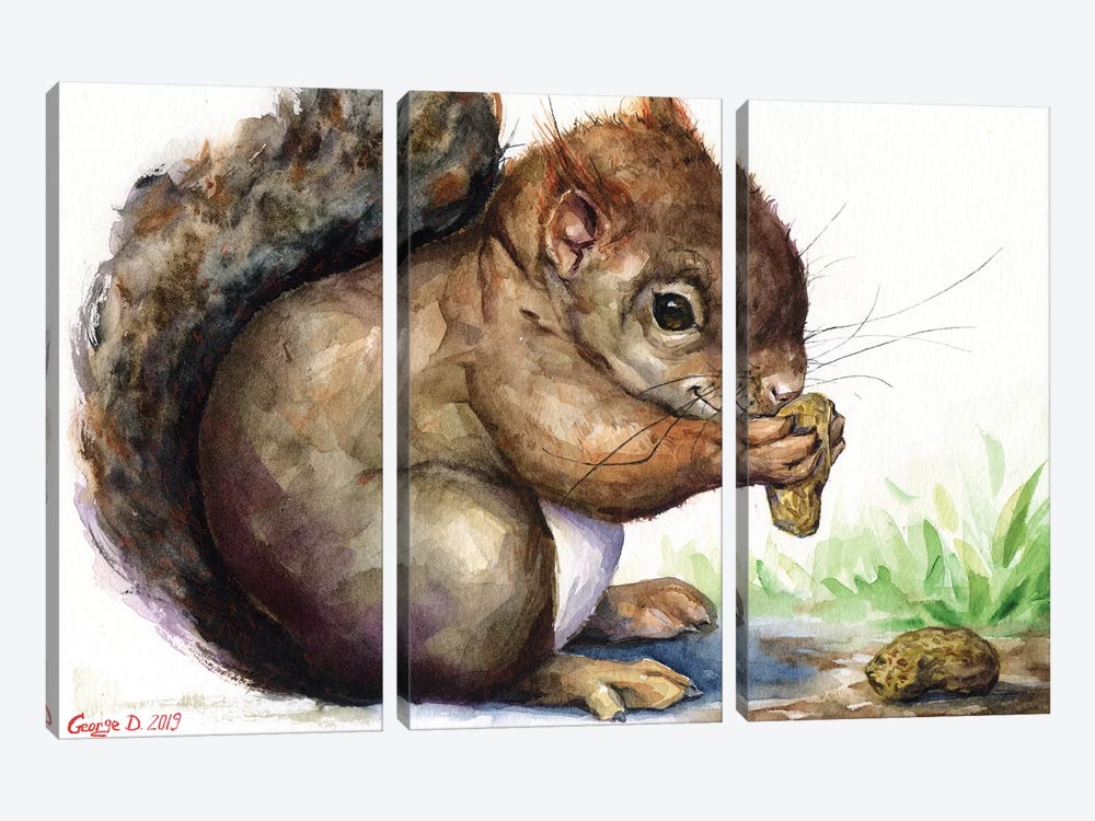 Squirrel by George Dyachenko 3-piece Canvas Wall Art