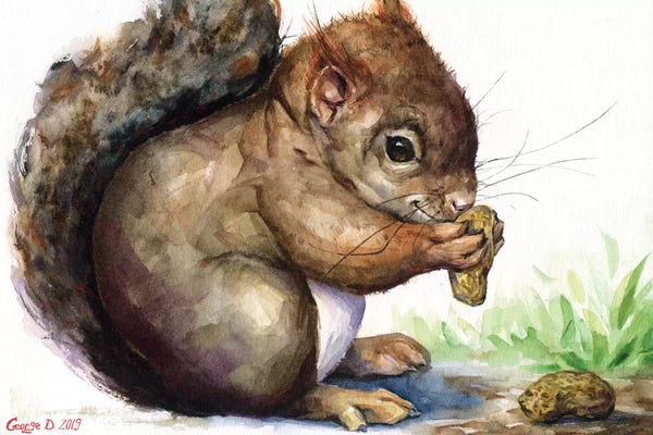 Squirrels: Squirrel by George Dyachenko