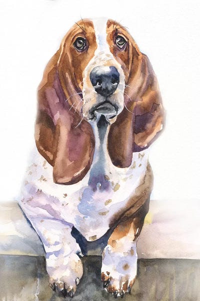 Basset Hounds: Basset Hound II by George Dyachenko