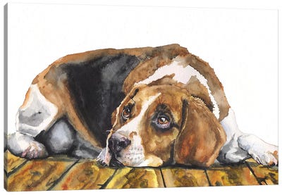 Beagle Canvas Art Print - George Dyachenko