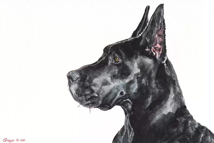 Black Dane by George Dyachenko wall art