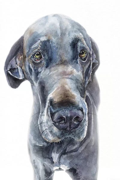 Great Danes: Blue Great Dane Girl by George Dyachenko