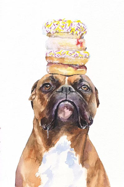 Donuts: Boxer And Donuts by George Dyachenko